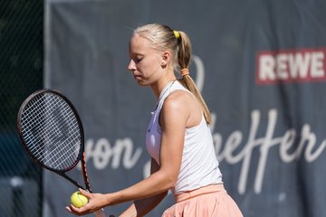 Bild 121 - Klipper Open